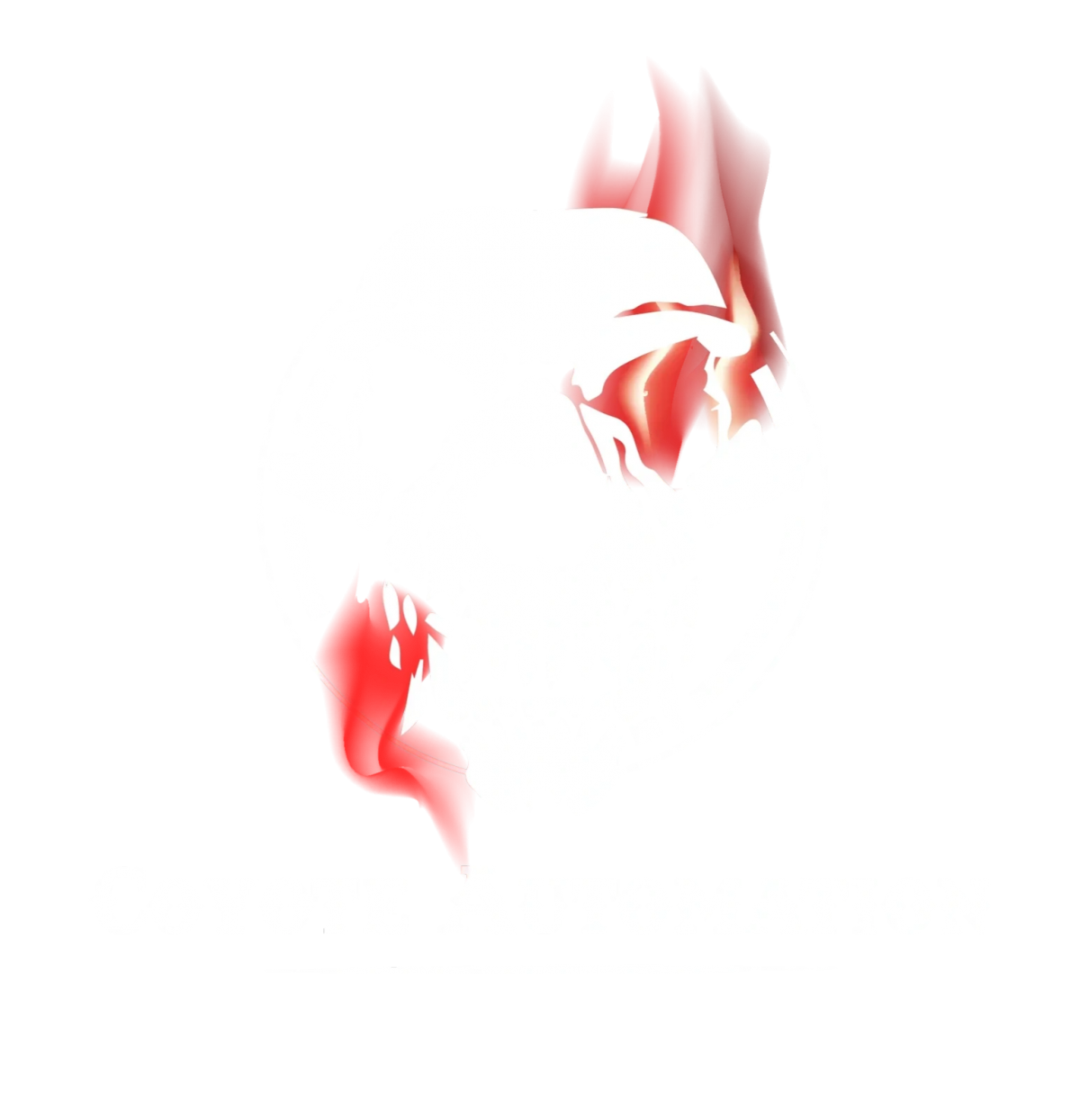 Coyote Automation Solutions, Inc