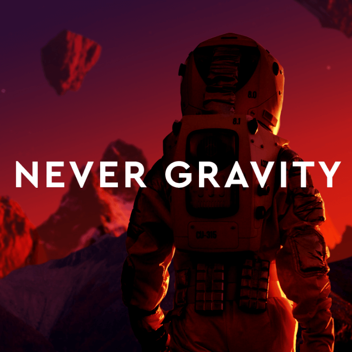 Never Gravity Web Design