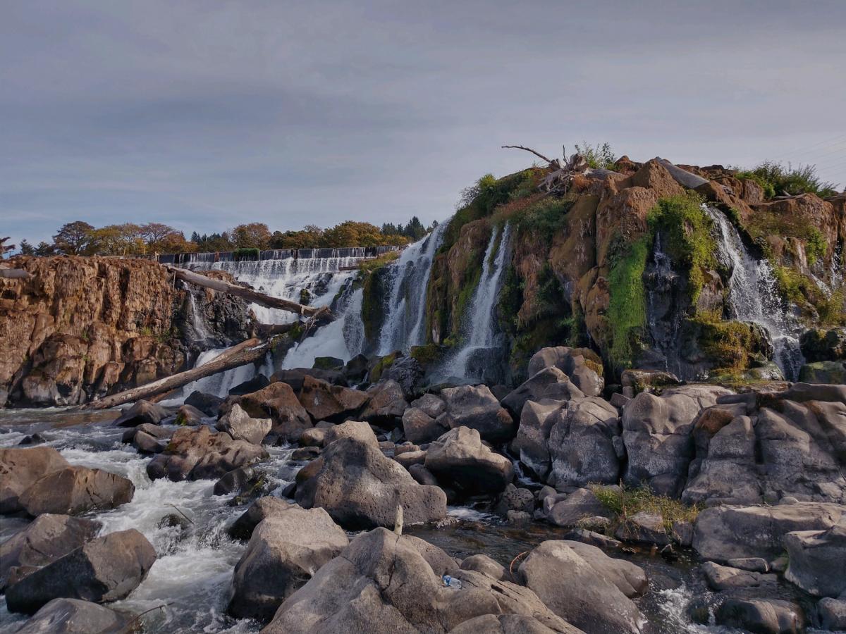 The Confederated Tribes of Grand Ronde