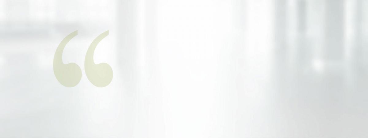 Safe Solutions, Inc.