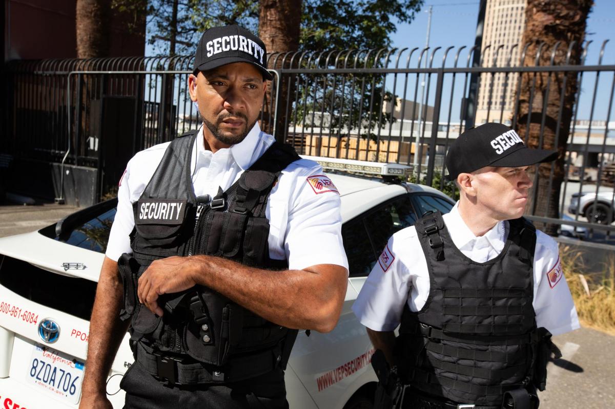 Vigilant Eye Security