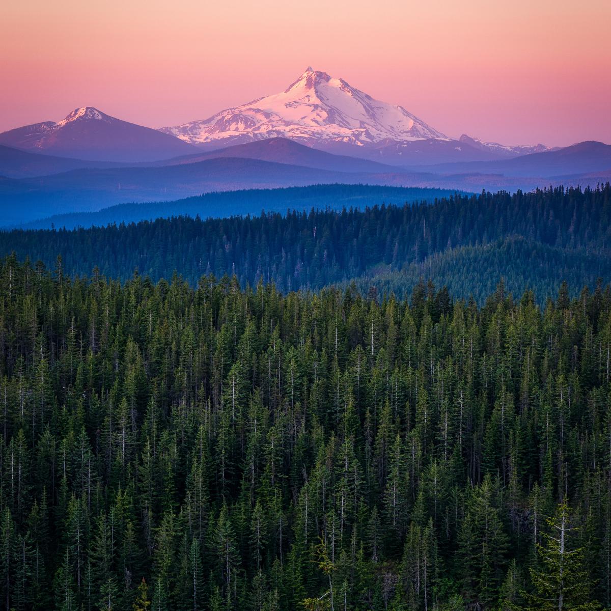 South Fork Forest Camp