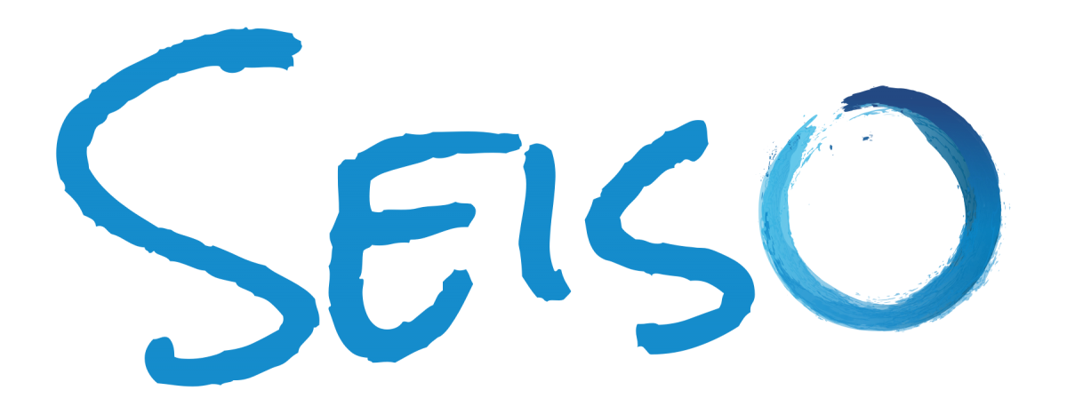 Seiso | Cybersecurity Compliance Specialists