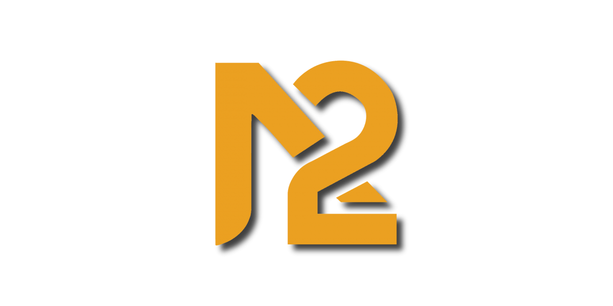 N2 LLC