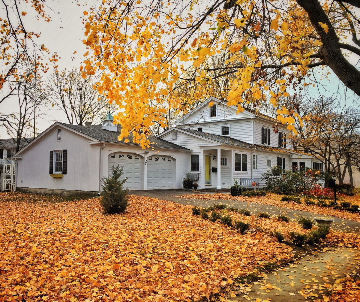 All American Gutter Protection