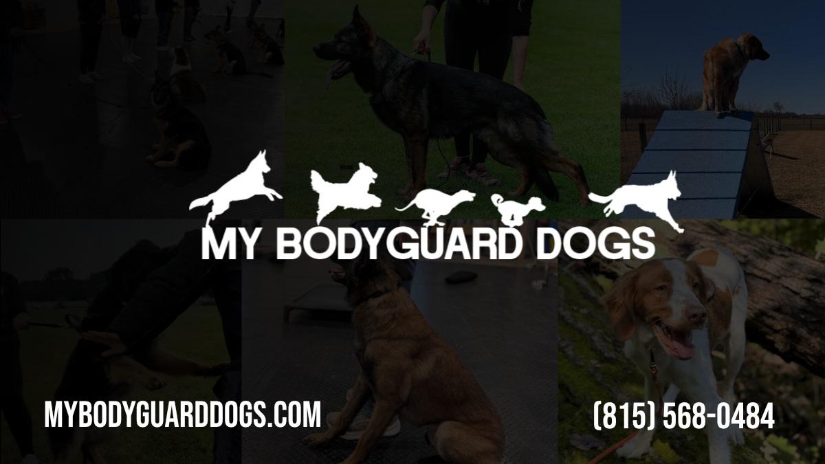 My BodyGuard German Shepherds
