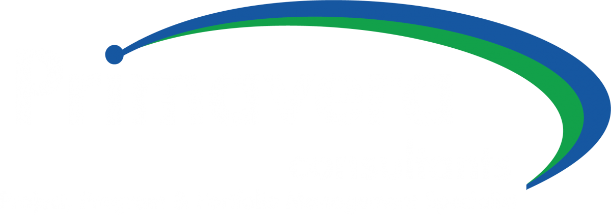 Primavera Consultants
