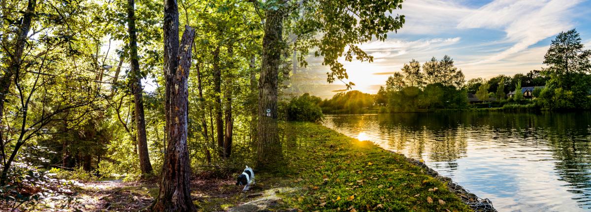 42nd District Court Division I Romeo