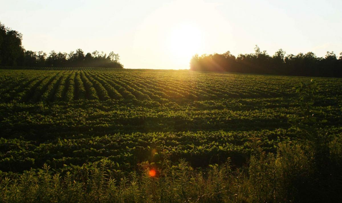 Rusk County Development (Economic & Community)