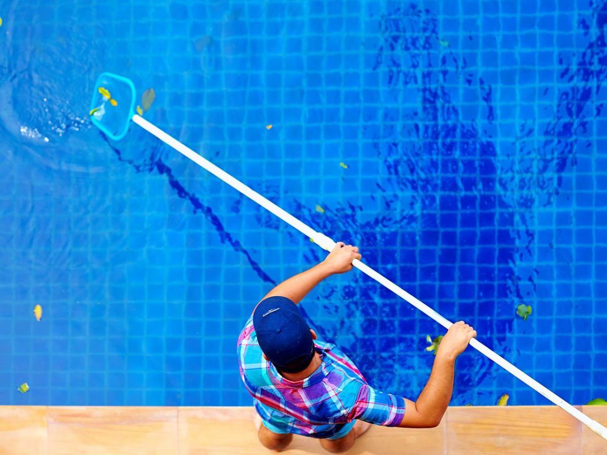 Paradise Pools and Spa, Inc.